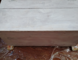 White trunk