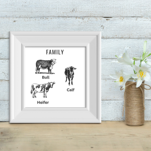 Picture of bull, heifer and calf.