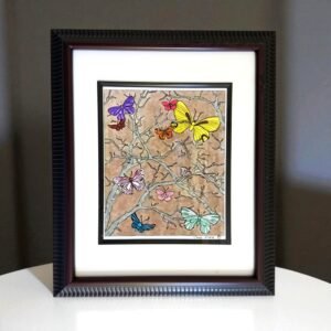 butterfly picture