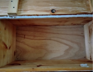 Open trunk