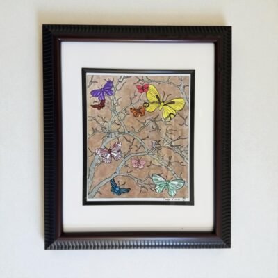 butterfly picture